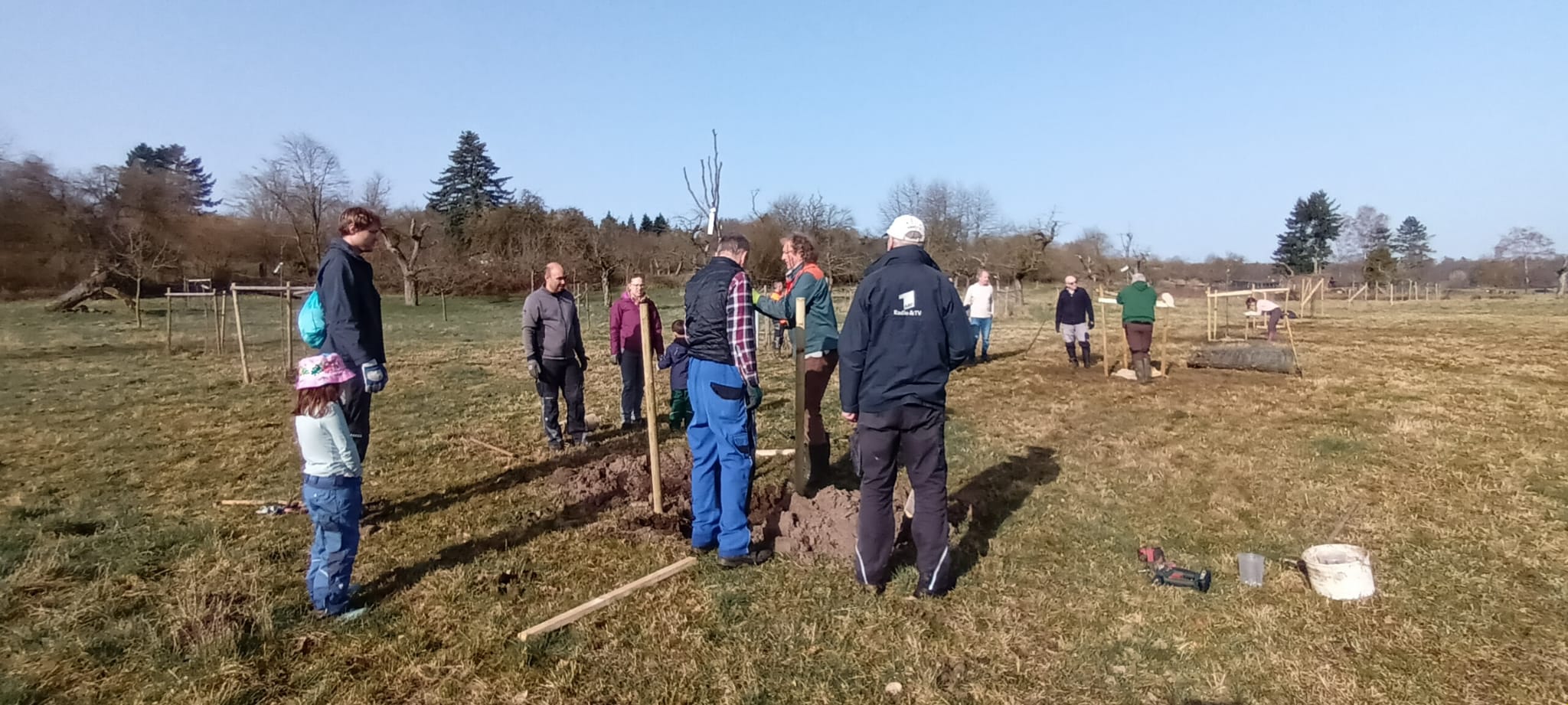 Mehr über den Artikel erfahren NABU pflanzt weitere hochstämmige alte Obstsorten im GLB Annawiesen