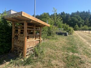 Mehr über den Artikel erfahren Jugendhilfe Leppermühle e.V. und NABU Lollar: Projekt „1.000 Gärten“ erfolgreich umgesetzt